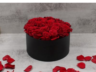 red roses circle box
