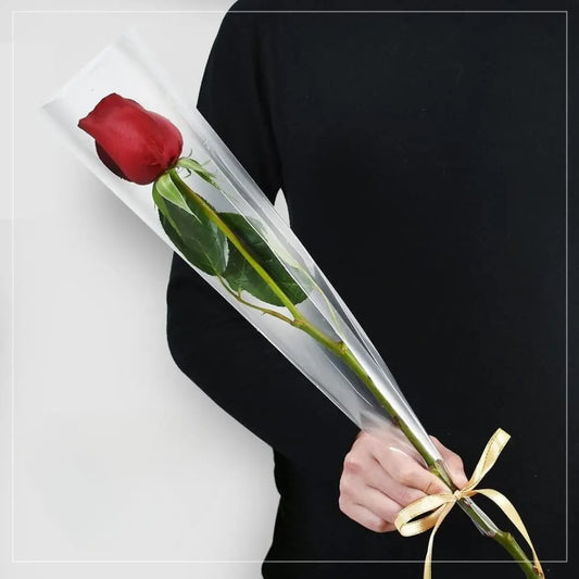 Single Red Rose Valentine Flowers Shop Amman Blooms Flowers